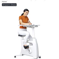 Bike Desk / At Home Bike Desk Exercise Bike 