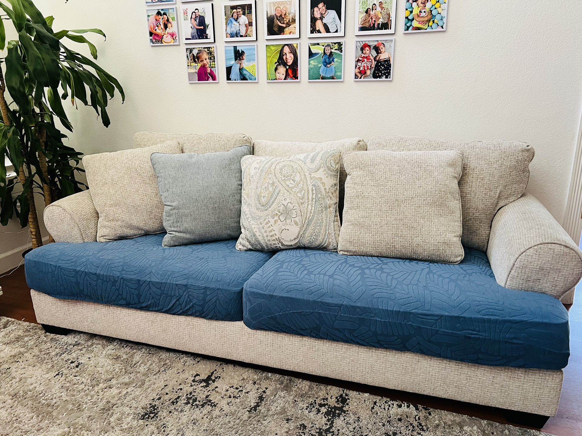 Couch Pillows ONLY