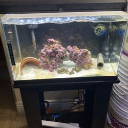 10 Gallon Saltwater Tank