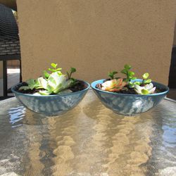 Pair Of Blue Garden Pots With Succulents 