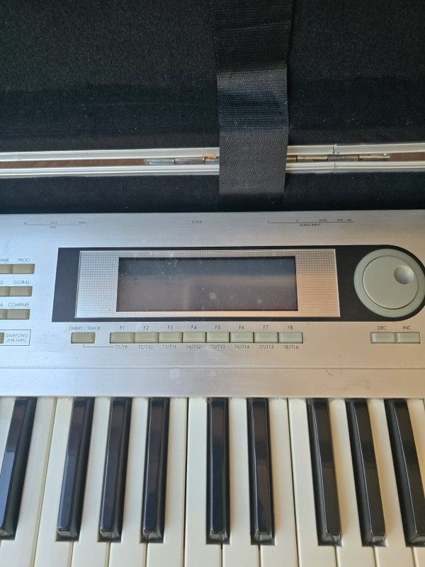 Korg Triton LE musical Organ / Organo Melodico Korg