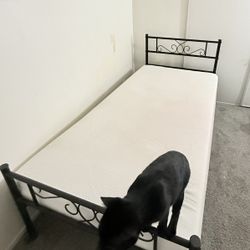 Twin  Memory Foam Mattress & Bed Frame