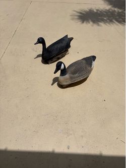 Plastic decoys
