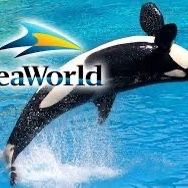 SeaWorld, Aquatica, Busch Gardens Or Adventure Island Tickets+ Parking