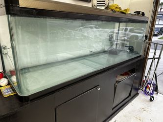 Fish Tank