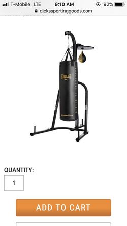 Punching bag with speed bag