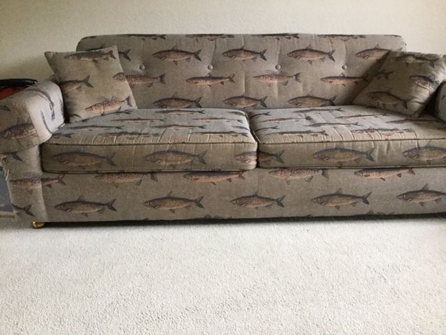 FREE Queen Sofa Bed!