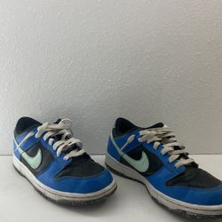 Nike Dunk Shoes