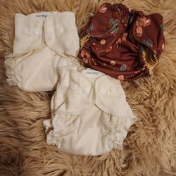 Assembly Cloth Diapers