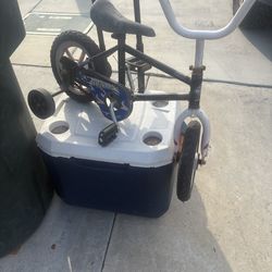 Free cooler & bike