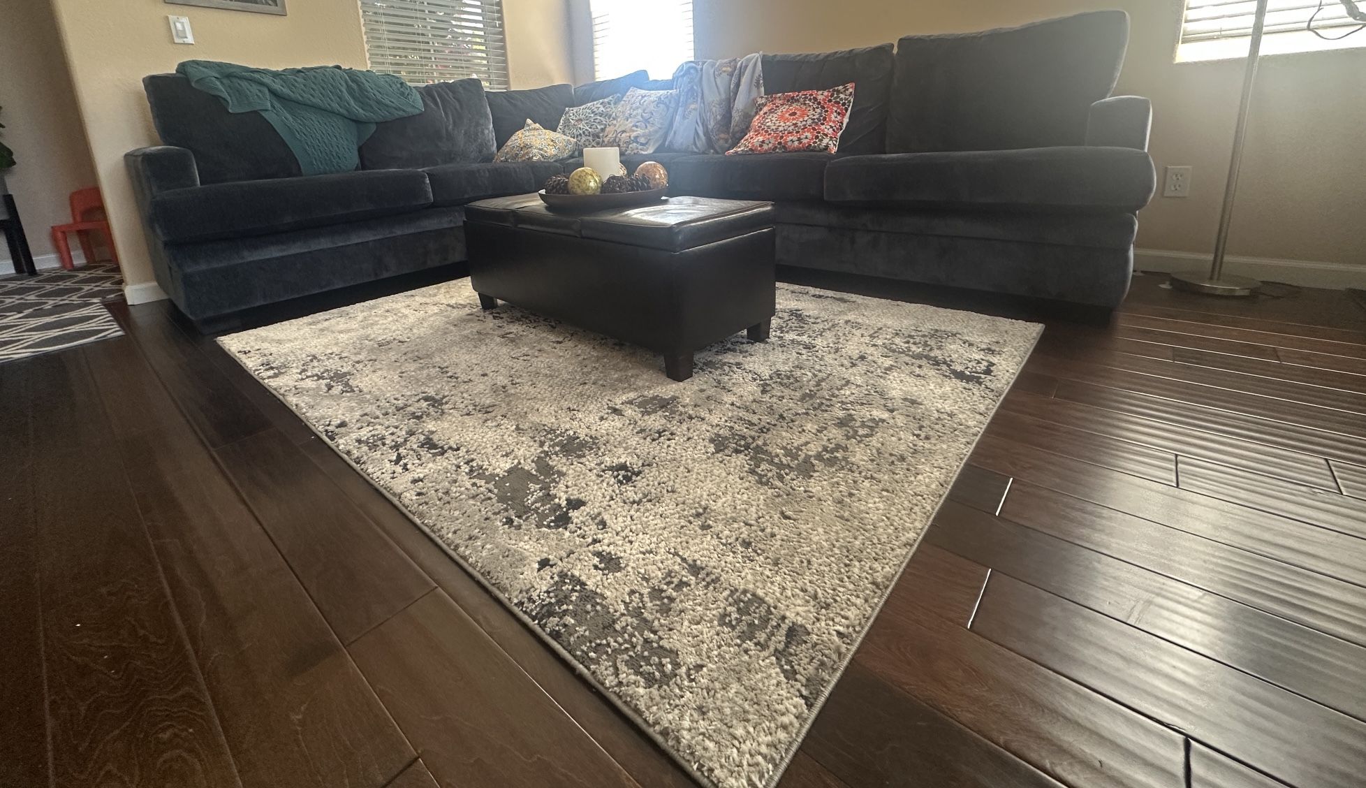 Sectional Couch