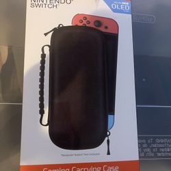 Nintendo Switch Carry Case