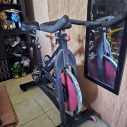 Pro-Form Bike Workout 