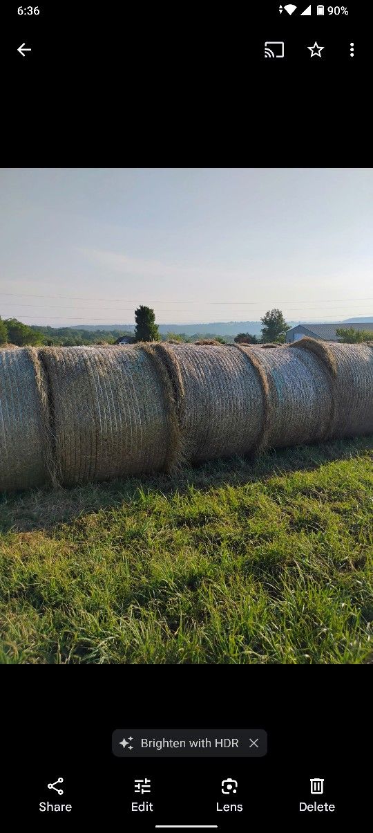 Hay