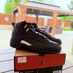 Jordan 12 Retro The Master 