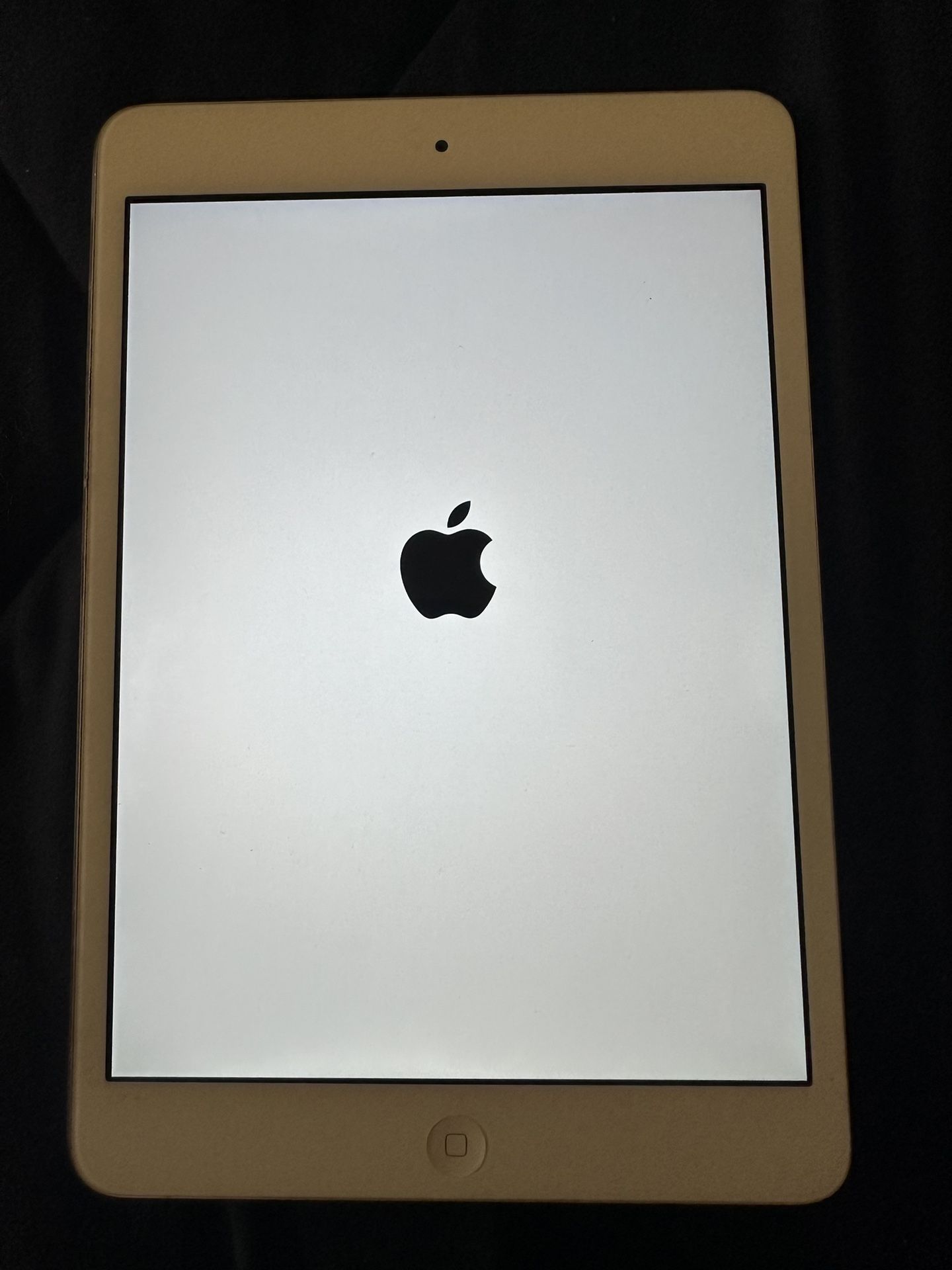 iPad Mini 2