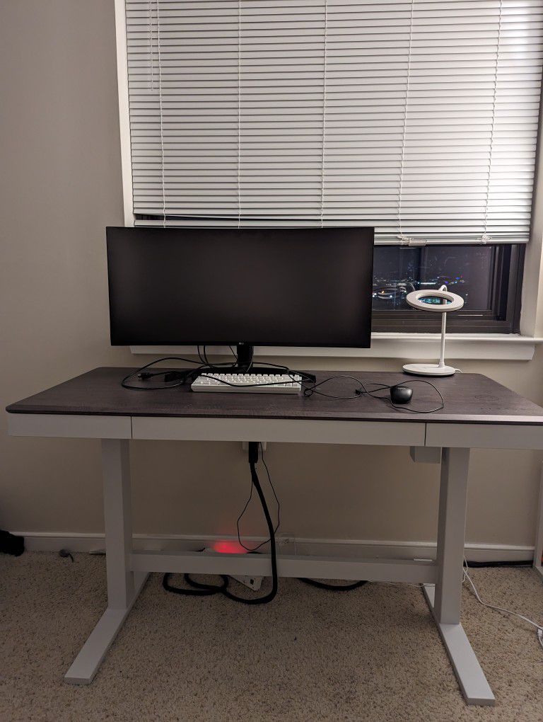 55" Standing Desk &  32" LG Curved Monitor 