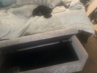 Storage bench