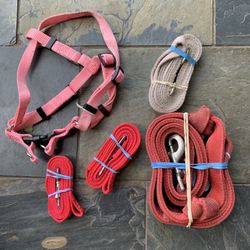 dog/pet leashes and halter for small dogs, bottom right large dog  $5 each