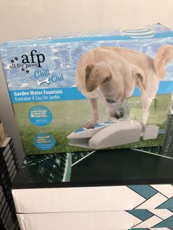 Dog water Fountain