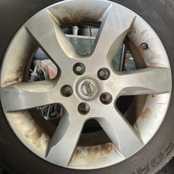 Rims/tores