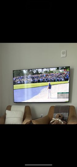 Vizio 65” Smart TV