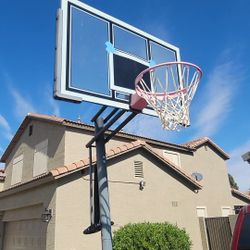 Lifetime Basketball Hoop - $100 OBO
