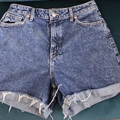 H&M Size 10 Shorts Jean