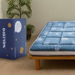 Queen Size Futon Mattress