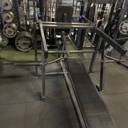 Hammer strength chest press / tricep dip combo