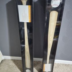 Collectible Display Case