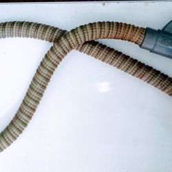 Eureka Vacuum Hose 