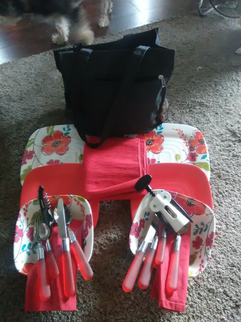 Pic nic set