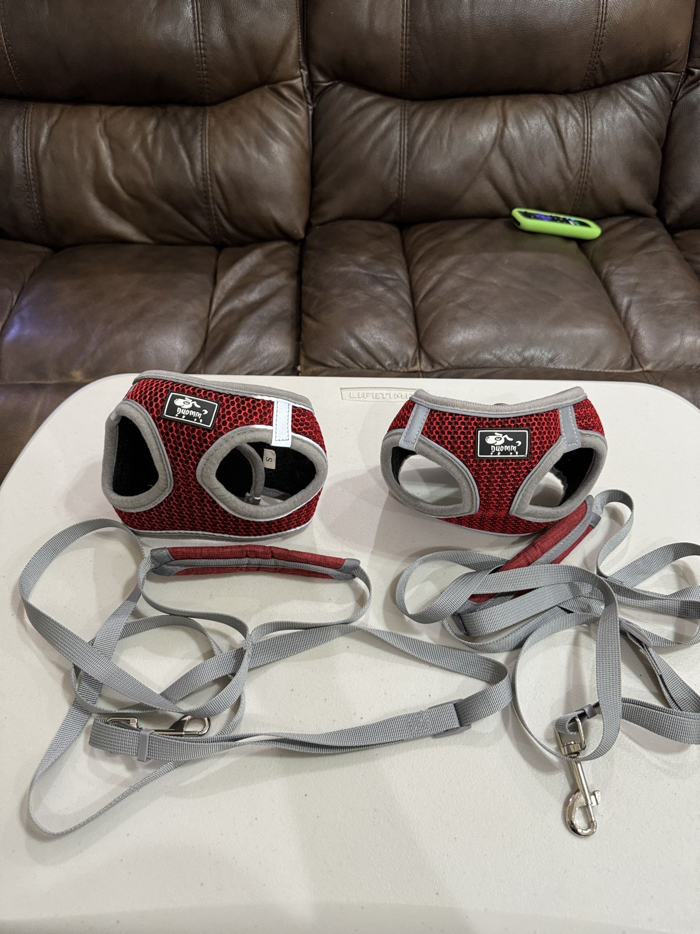 Small Dog /Puppy Harness With Leash (2 Sets Available)