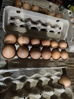 Huevos de rancho frescos Docena $5