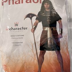 Halloween Costume Pharaoh