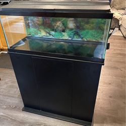 20 Gallon Aquarium With Stand