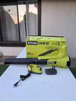 Ryobi 18v 250 CFM blower kit