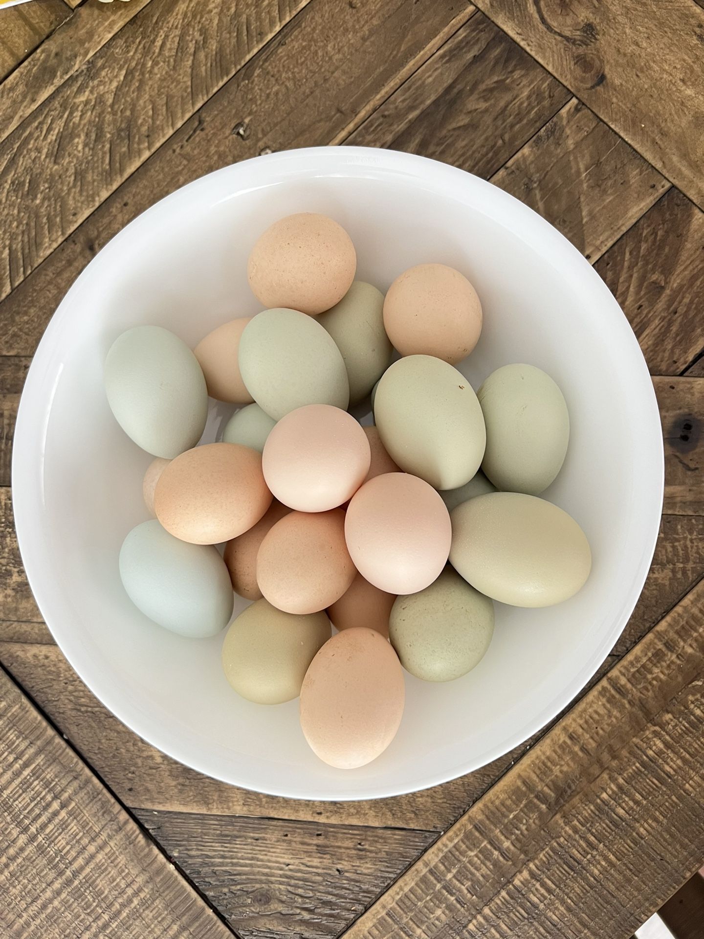 Pasture Raised Organic Eggs ( Unwashed) for Sale in Vlg Wellingtn, FL OfferUp