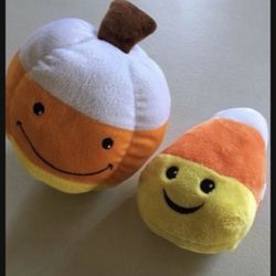Halloween  Pet Toys 