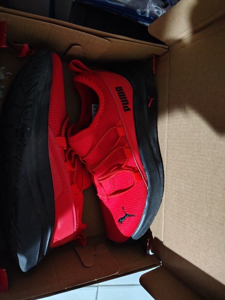 Puma