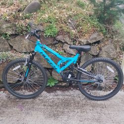 Double suspension Mountain Bike