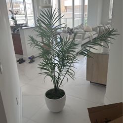 Palm Tree Artificial 