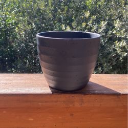 Plants Pots 
