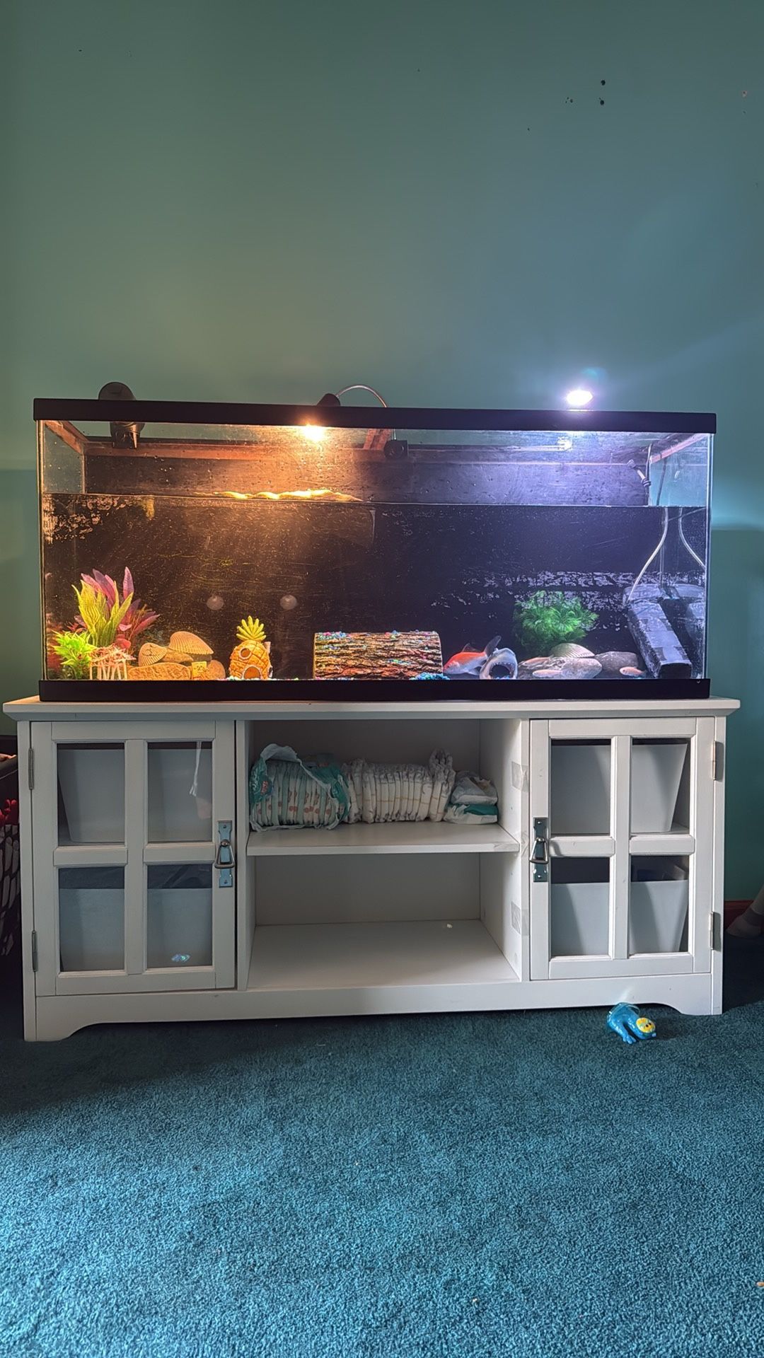 75 gal tank and stuff 