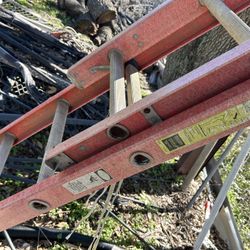 24’ Louisville Fiberglass Ladder