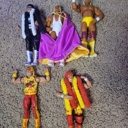 Lot Of 5 Hulk Hogan Figures 