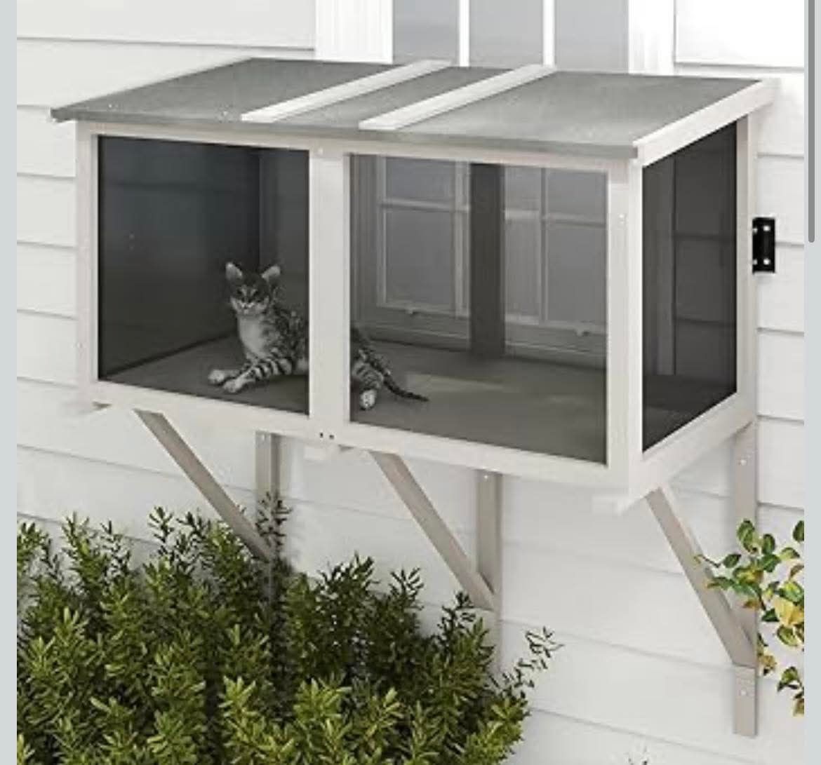 Cat Catio