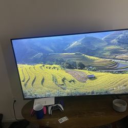 TCL Google Tv 55 Inch