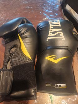 Everest Boxing Gloves 
